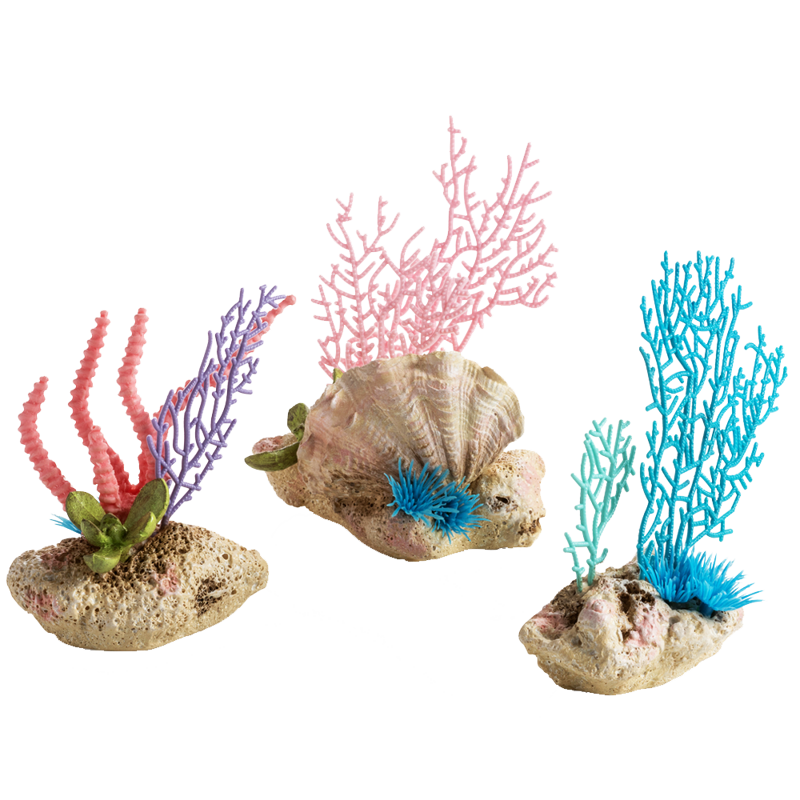 biOrb coral fans & shells set