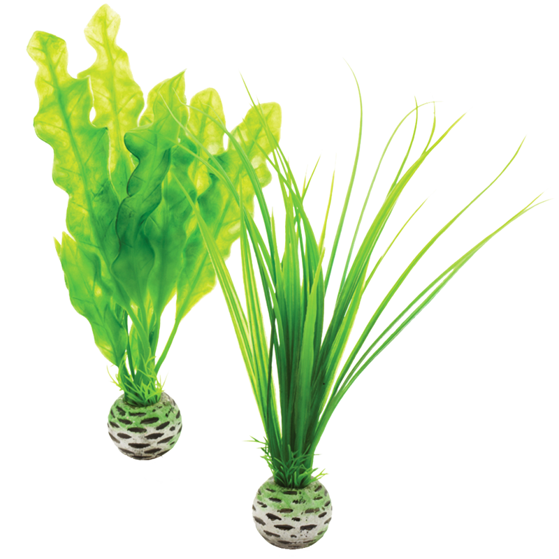 biOrb Plant Pack zelená set 20 cm